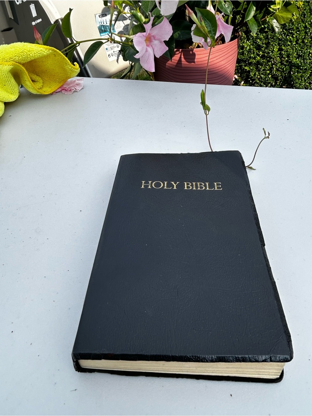 HOLY BIBLE Black Cover - Classic Portable Edition